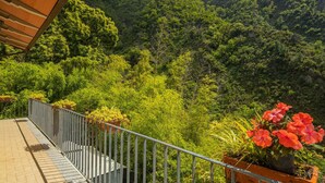 A balcony with a view of a lush green forest and mountains.