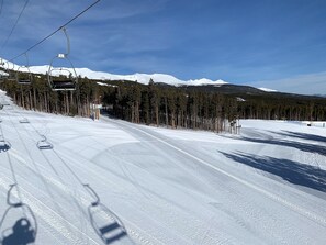 Lumi- ja hiihtourheilulajit