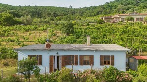 Un edificio blu chiaro con persiane di legno, circondato da rigogliosa vegetazione e vigneti.