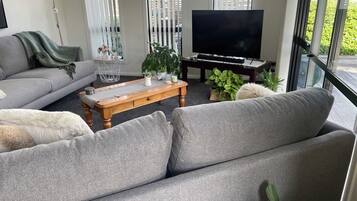 Una televisión, una chimenea, un reproductor de DVD, libros