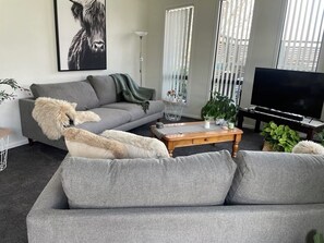 电视、壁炉、DVD 播放器、书