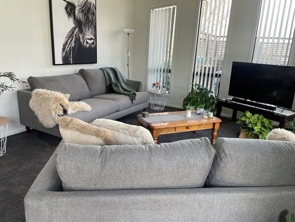 TV, fireplace, DVD player, books