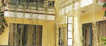 Hoi An New Life Homestay & Villa