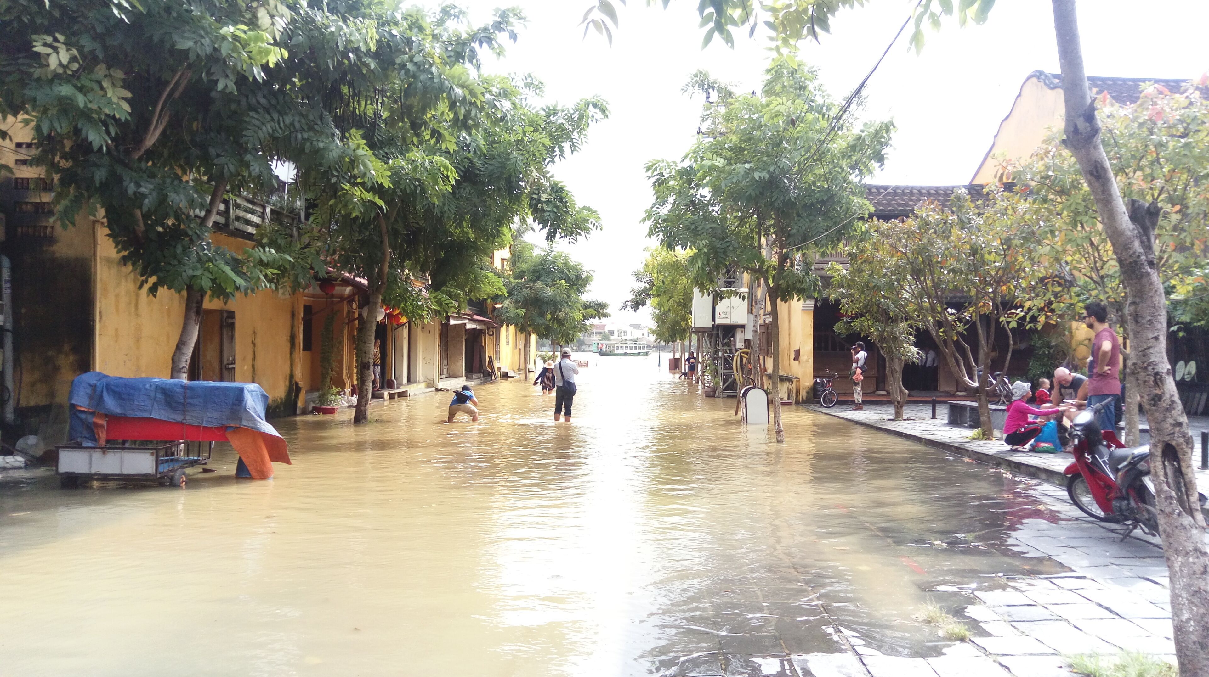 Photo - Hoi An New Life Homestay & Villa