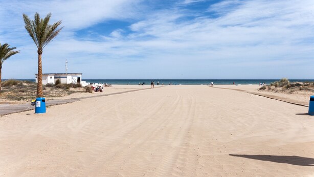 A sandy beach with a white building and palm trees. - NAVEGANTE - Apartment with shared pool in Playa de Gandia. (Playa de Gandia)