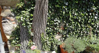 Gasthof Reiterstuben Ferienwohnung "Elle" 55m2 in ländlich ruhiger Lage