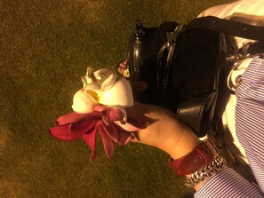 Nicht klassifiziertes Bild, 2 von 7, Schaltfläche