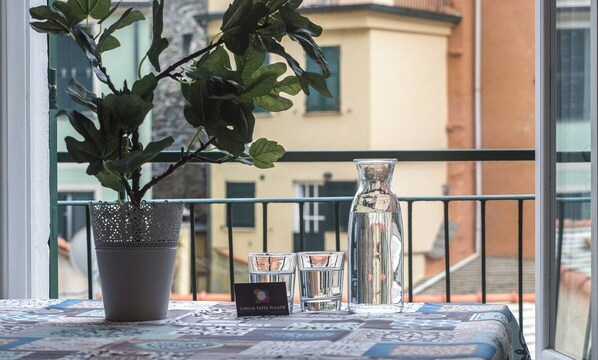 Plant by the window