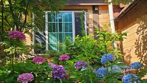 A garden with hydrangeas in front of a building with a large window and brick walls. - Ulleung Haeoreum Pension (Ulleung)