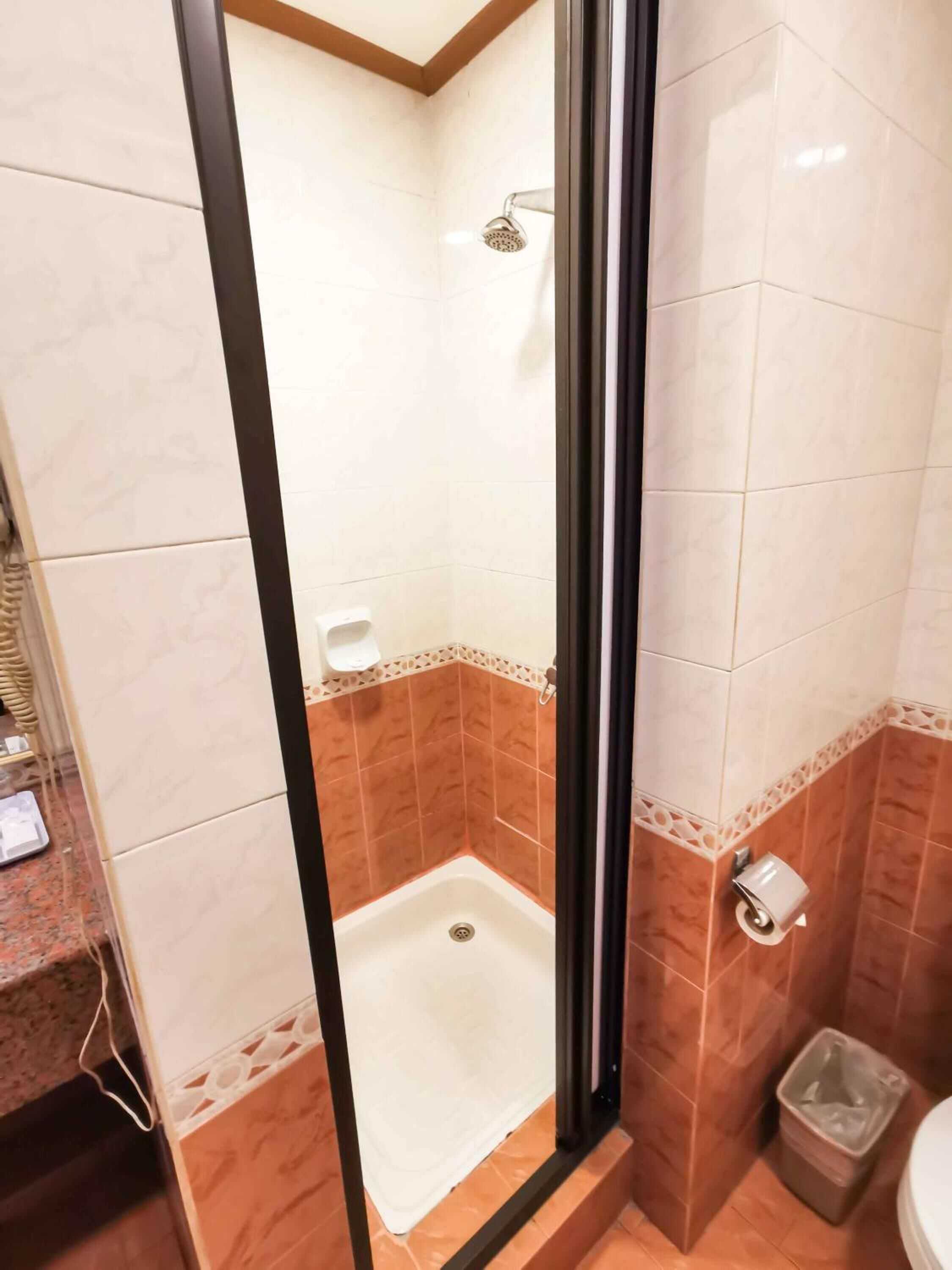 Une salle de bain avec douche, toilettes et lavabo.