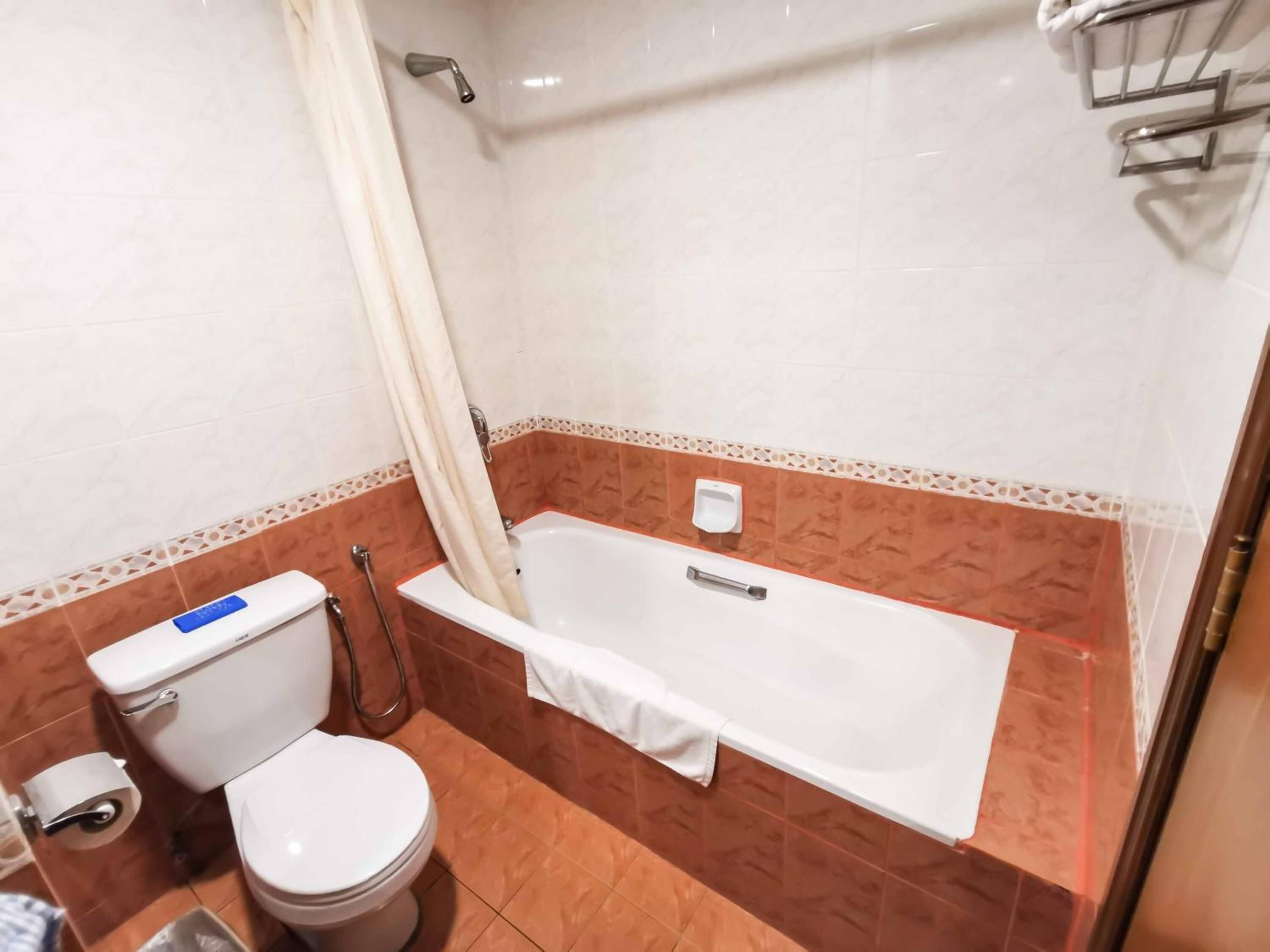 Een badkamer met een toilet, een bad en een douche.