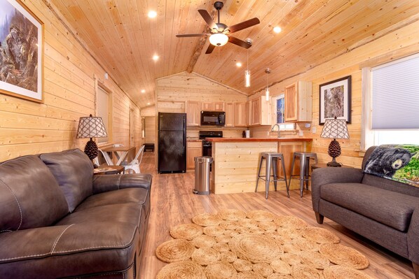 TV connectée, cheminée, livres