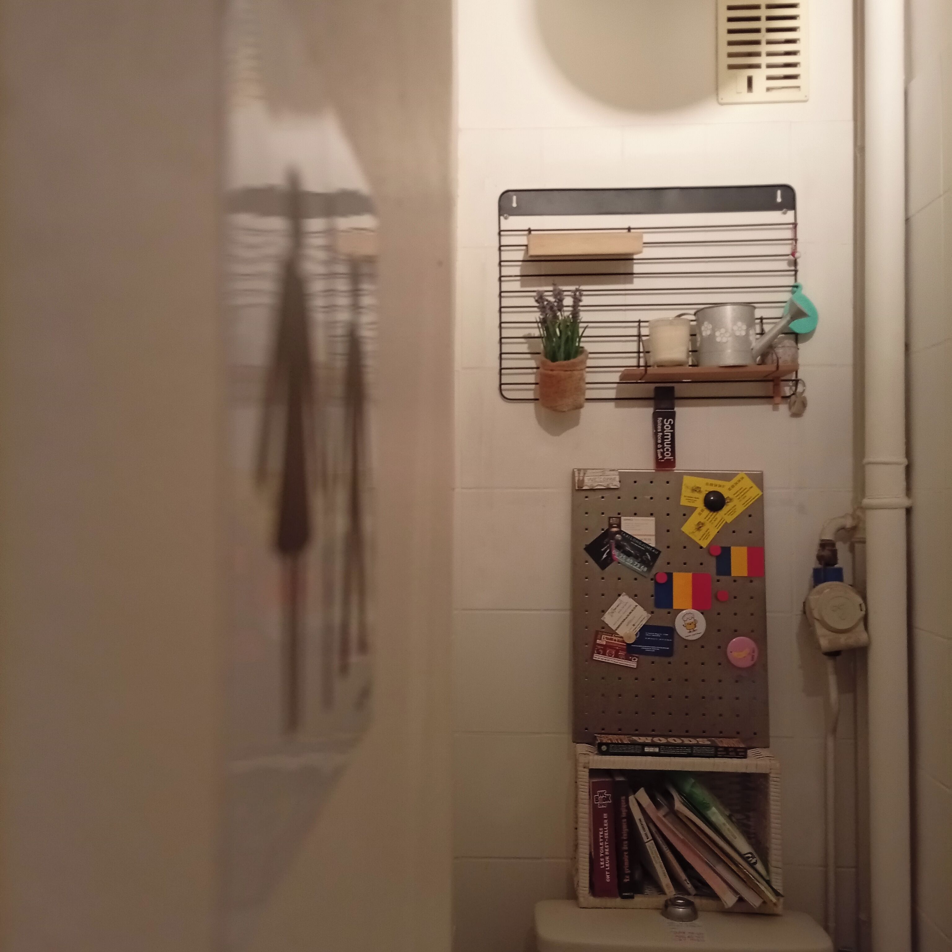 Bathtub, towels, toilet paper