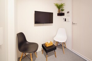 Flat-screen TV