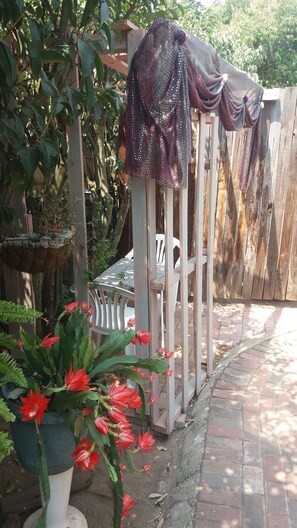 Property grounds - Allen Grove Self Catering (Kempton Park)