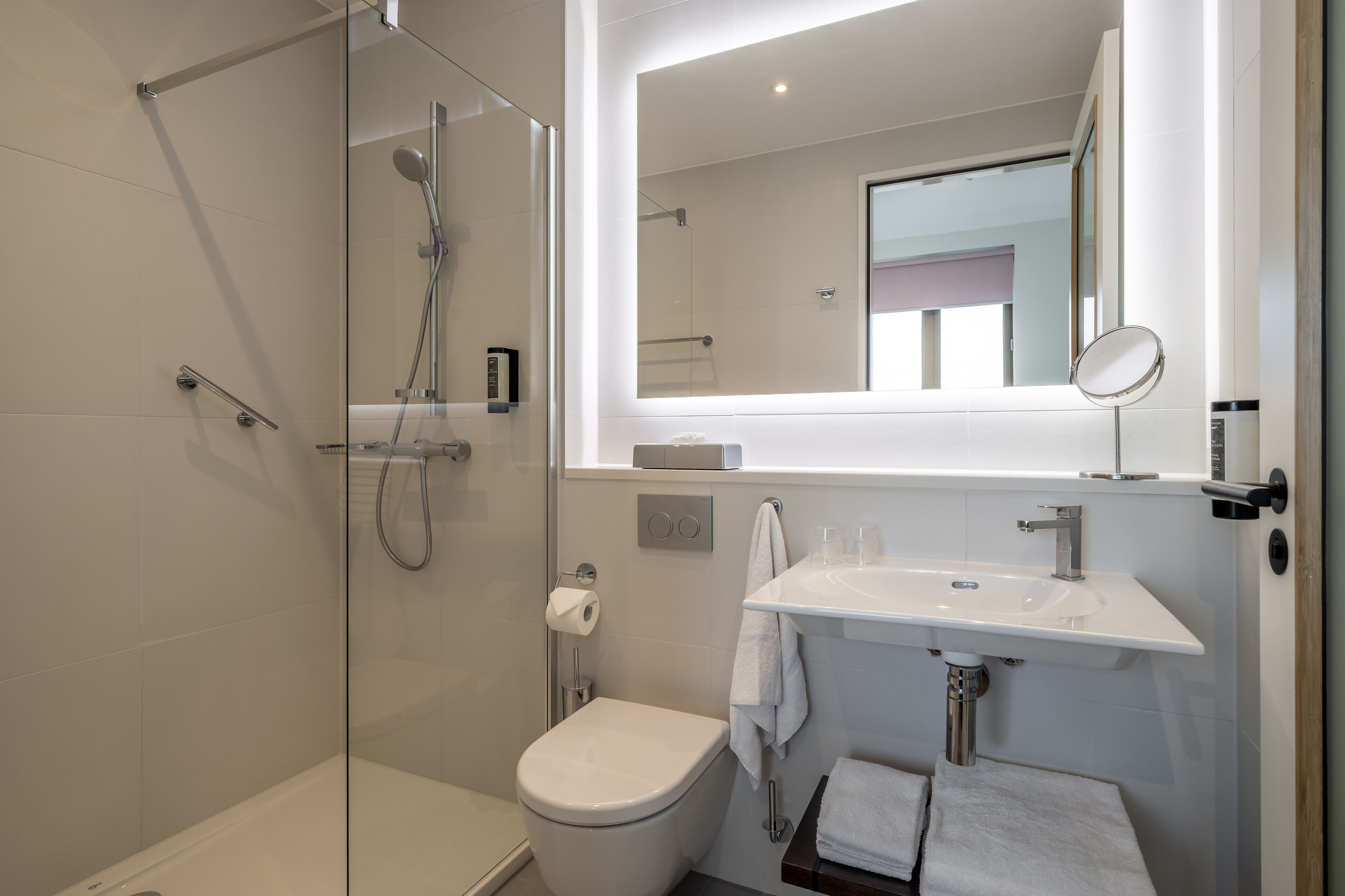 A modern bathroom with a glass-enclosed shower, a white toilet, and a sink with a mirror above it.