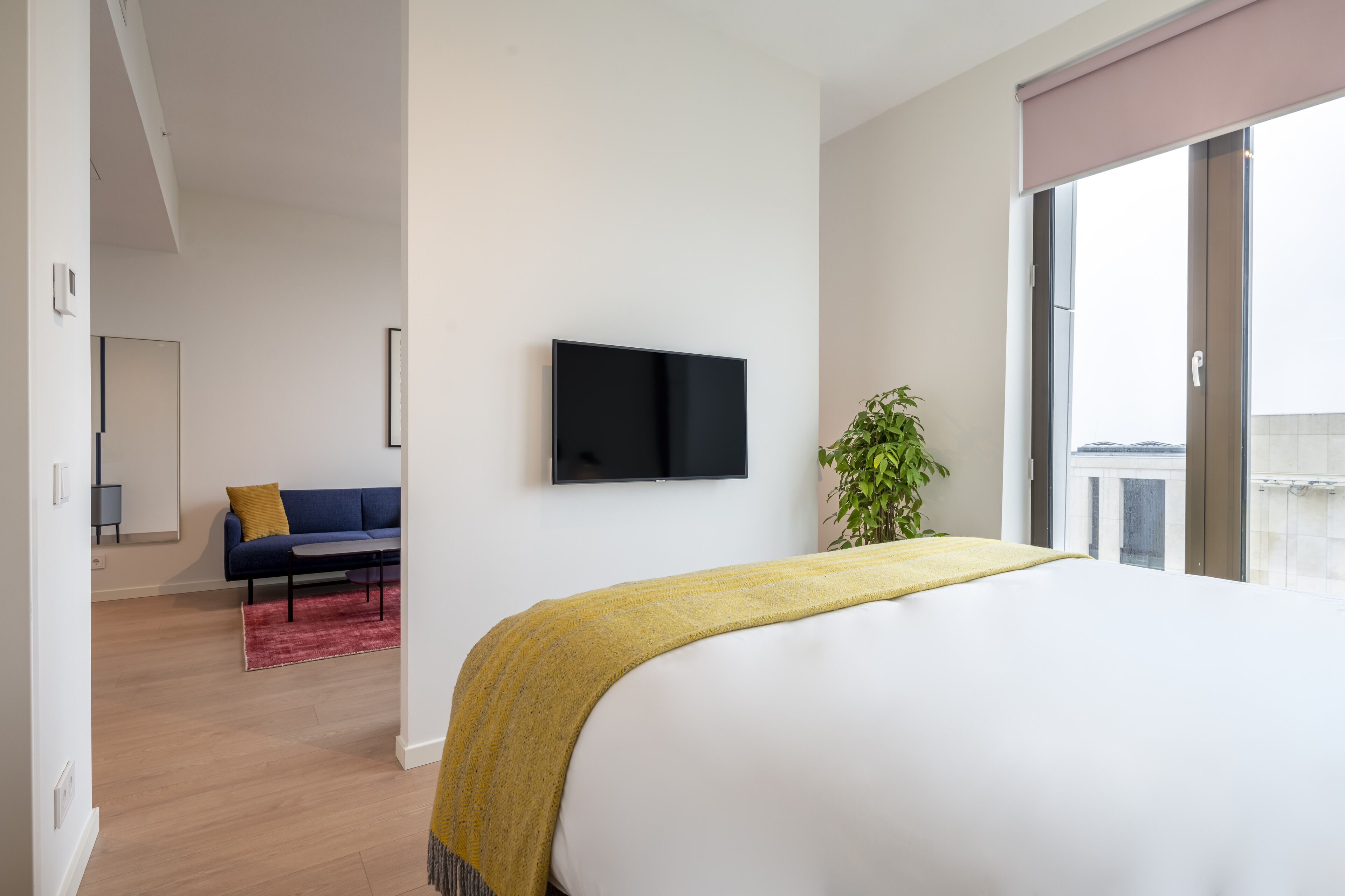 Habitación de hotel moderna con una cama grande, un televisor de pantalla plana en la pared, un sofá al fondo y una planta junto a la ventana.