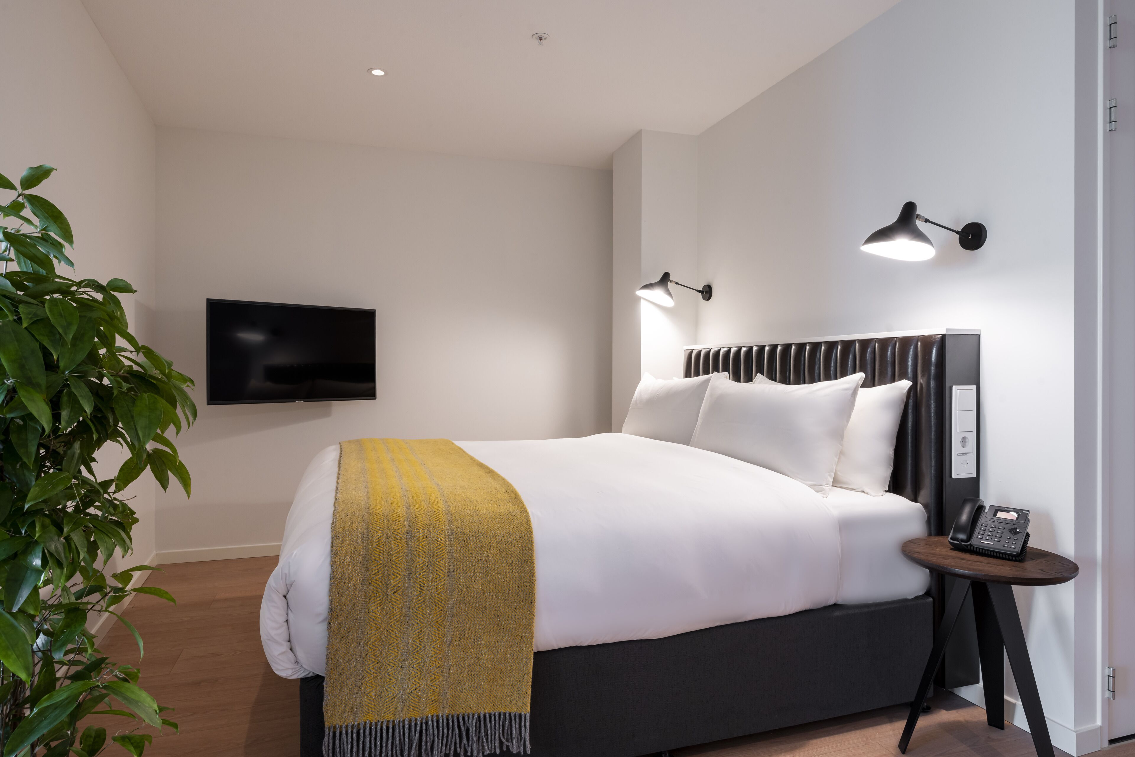 Een moderne hotelkamer met een groot bed, een nachtkastje met een telefoon, een aan de muur bevestigde televisie en een plant.