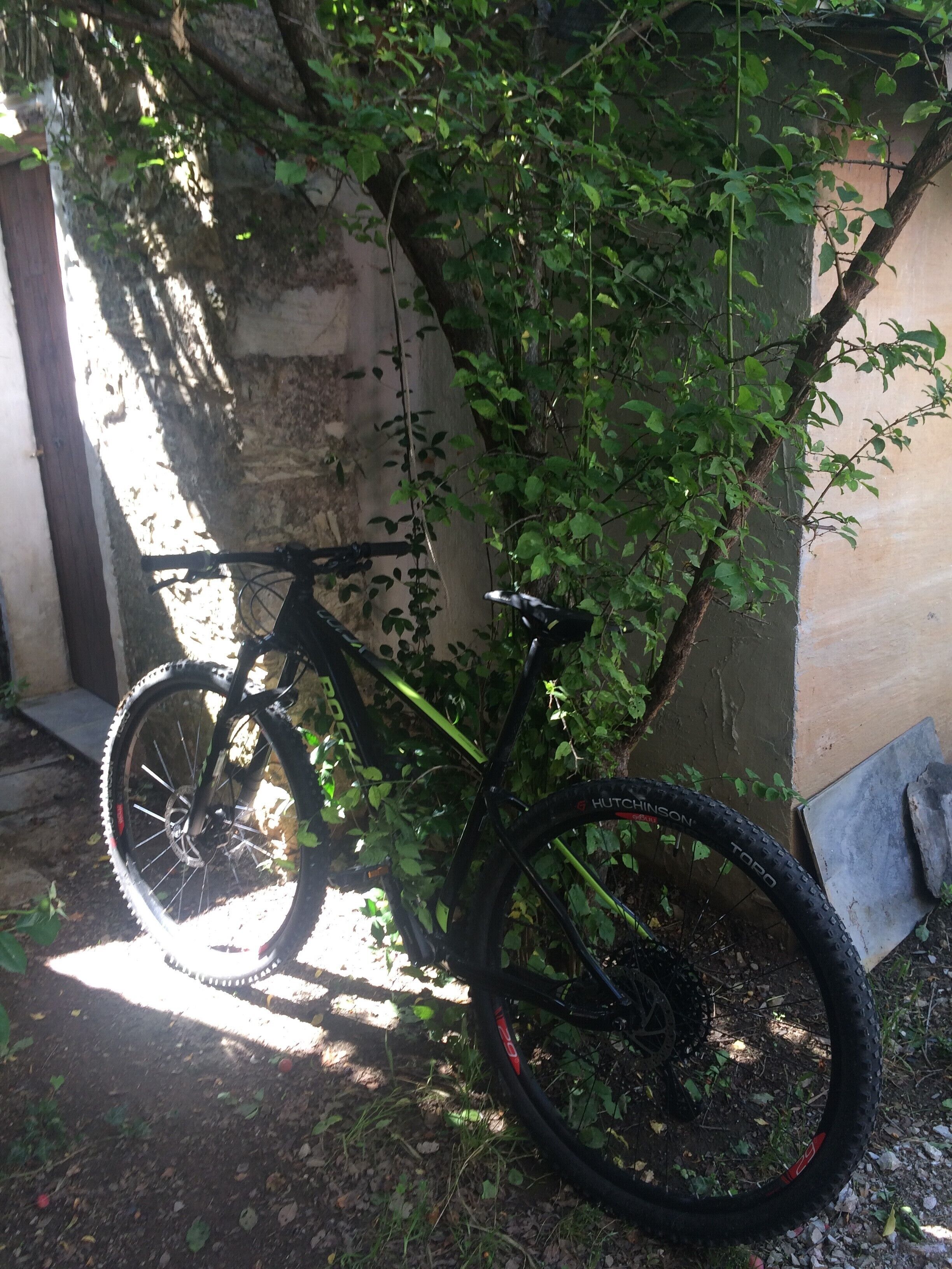 A bicycle parked against a wall with greenery.