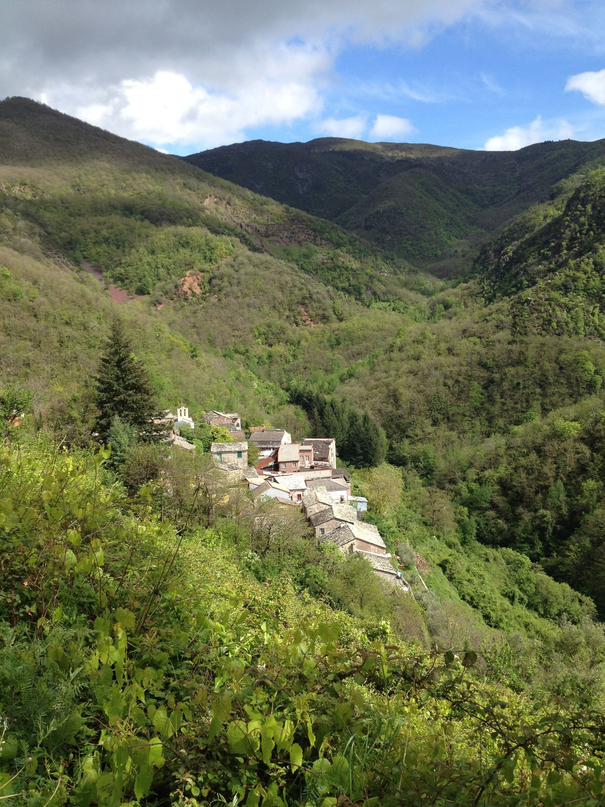 A hillside village with traditional buildings nestled among lush greenery.