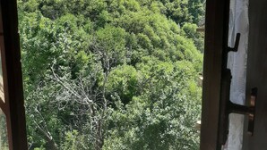 A view through an open window of a lush green forested hillside. - Baldo e Chicca Bed & Breakfast (Ne)