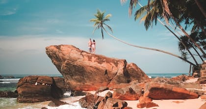 Mango Tree House