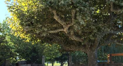 Gîtes in the vineyards, park, swimming pool, playground, pétanque field, ...