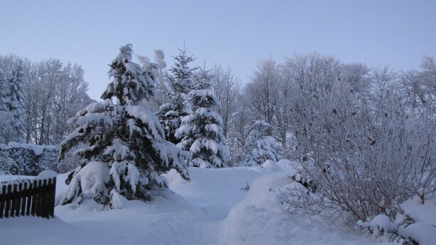 Paesaggio innevato con alberi e una recinzione in legno.