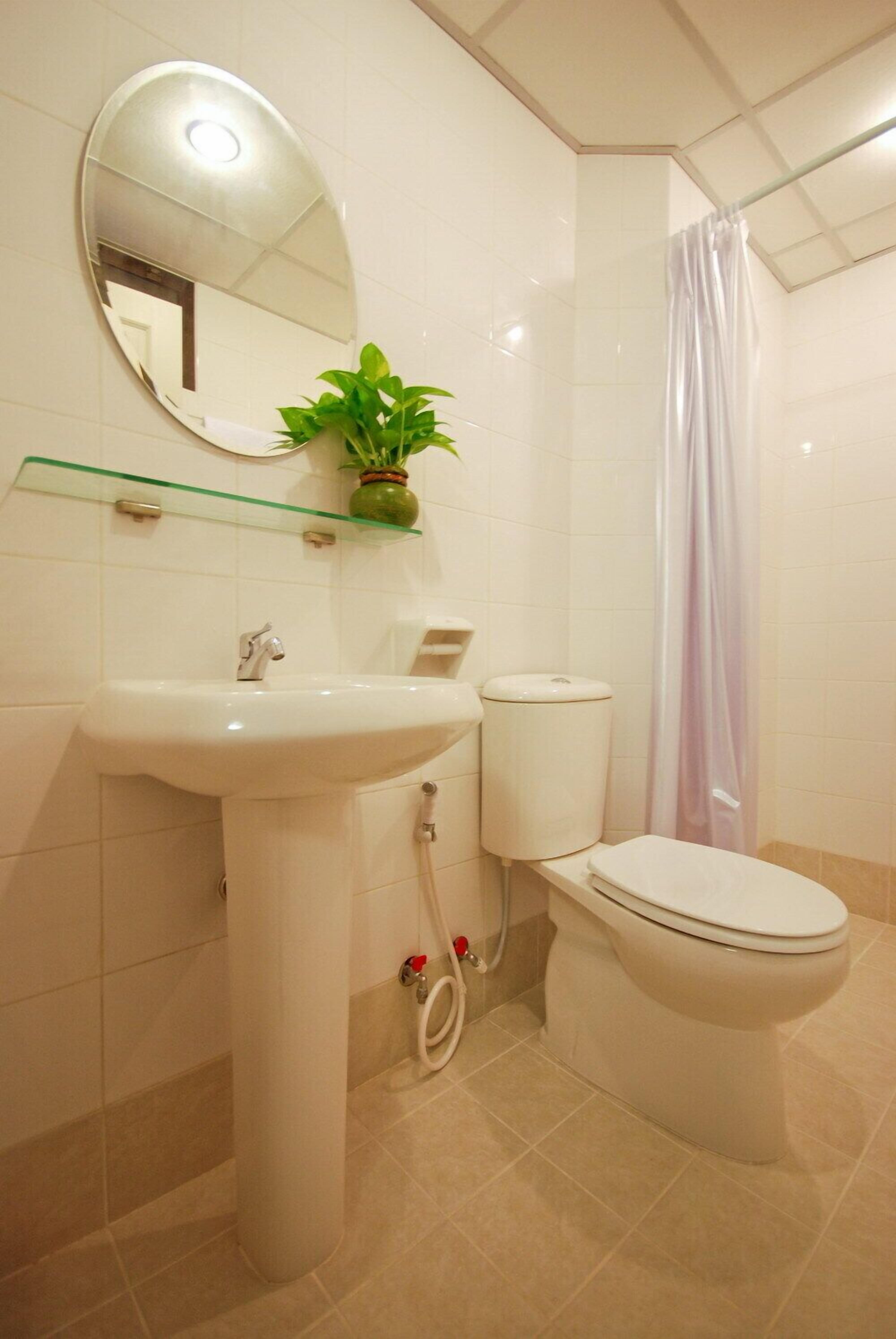 Un baño con lavamanos pedestal, inodoro, cortina de ducha y espejo con una planta en la pared.