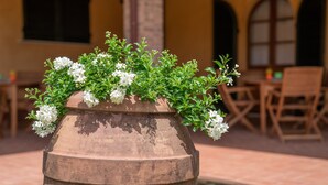 Un espace extérieur aménagé dans un style rustique, avec des sièges et un grand bac à fleurs rempli de fleurs blanches et de feuillage verdoyant.