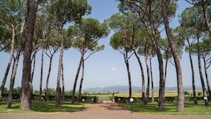 Un sentier bordé de grands arbres qui mène à une porte, avec une zone herbeuse et des collines qui se dessinent à l’horizon.
