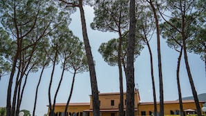 Un bâtiment à la façade jaune, entouré de grands arbres.