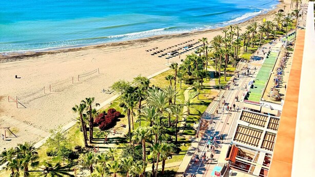 Une plage côtière avec une promenade, des palmiers et un ciel bleu dégagé.