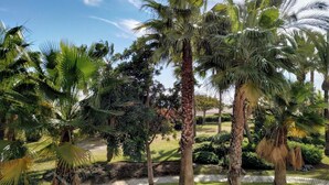 Un jardin tropical agrémenté de palmiers, d’un chemin pavé et de diverses espèces d’arbustes.