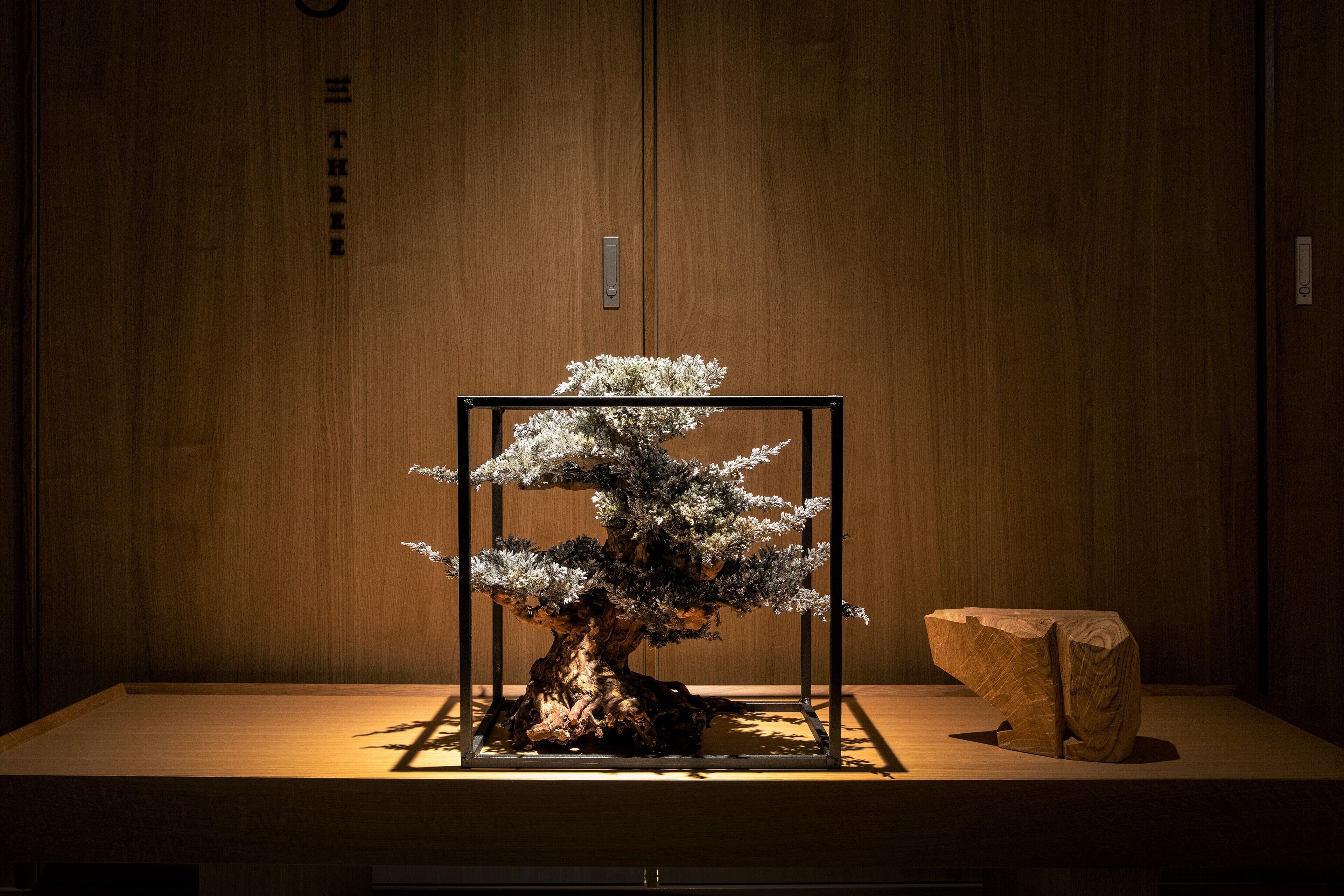 A bonsai tree in a square frame on a wooden table against a wooden wall.