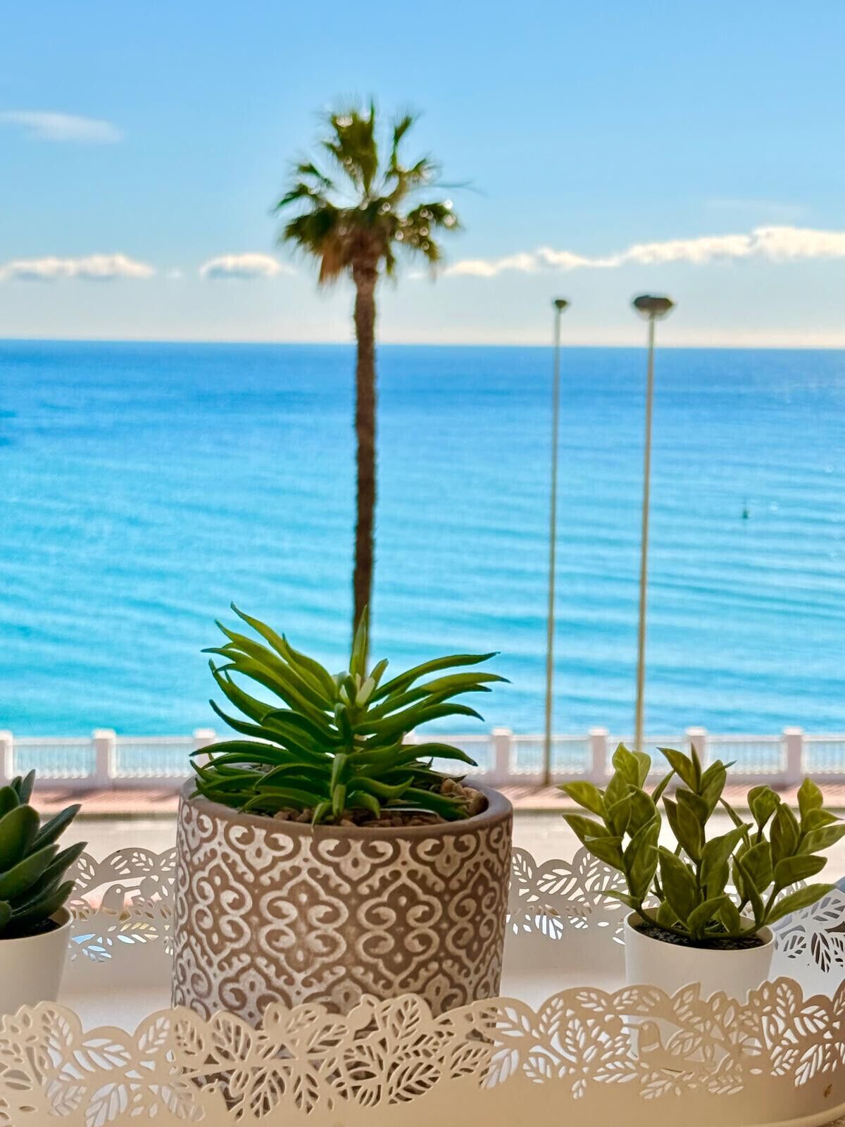 Uma planta em vaso com um vaso estampado sobre uma mesa, com vista para o mar e uma palmeira ao fundo.