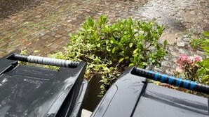Une rue pavée, avec un bâtiment en briques, un pot de fleurs suspendu et une voiture garée.