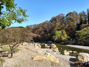 A natural landscape with a river, rocks, and trees. - Akiu Canada (Sendai)
