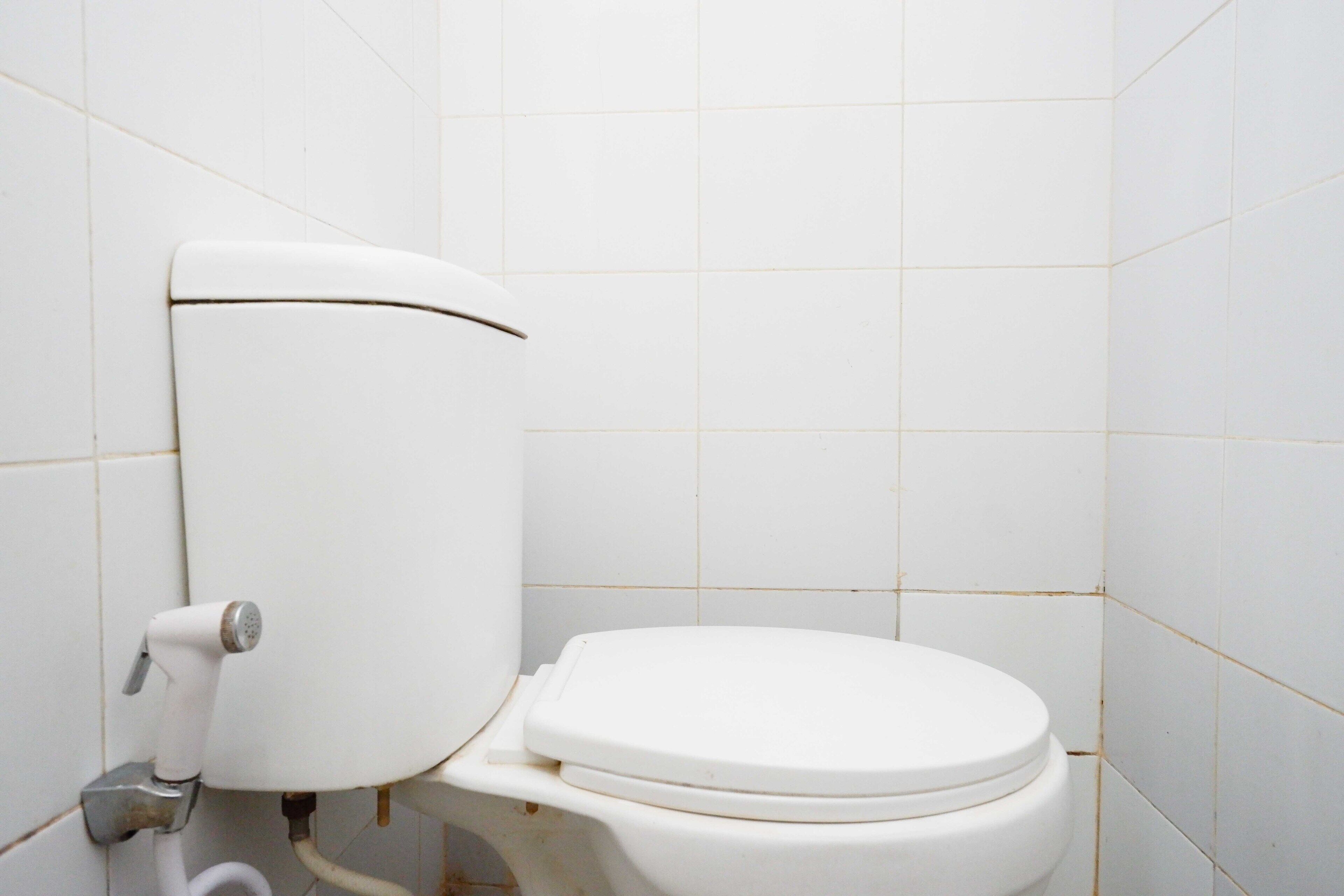 A white toilet with a tank and seat, connected to a wall-mounted flush handle.