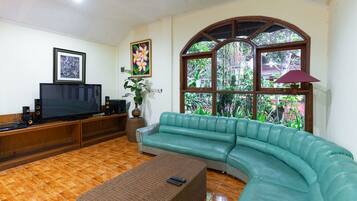 21-英寸电视(配备卫星频道)