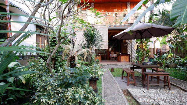 Une cour avec une table en bois et des bancs, entourée d’une végétation luxuriante et de plantes en pot.
