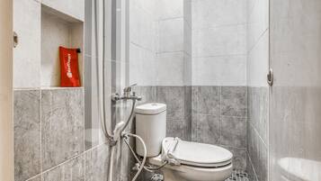 Shower, free toiletries, towels