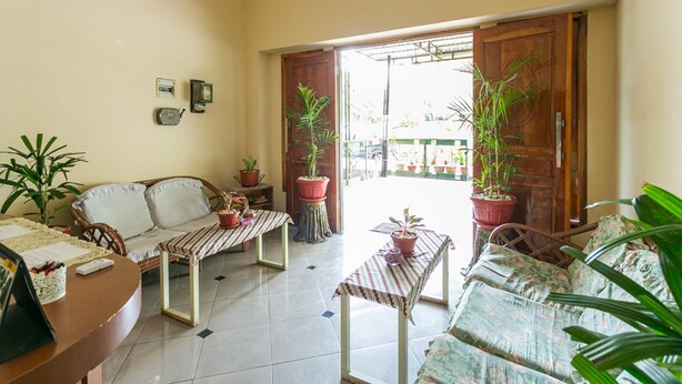 Una sala de estar acogedora con un sofá, una mesa de centro y dos plantas en macetas.