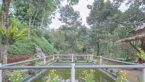 A garden with a water feature, surrounded by potted plants and trees. - RedDoorz Resort Syariah @ Idelansia Homestay Ciater (Ciater)