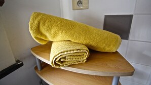 Apartment | Badezimmerausstattung | Dusche, Haartrockner, Handtücher