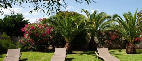 Ein Garten mit drei Liegestühlen, Palmen und blühenden Büschen.