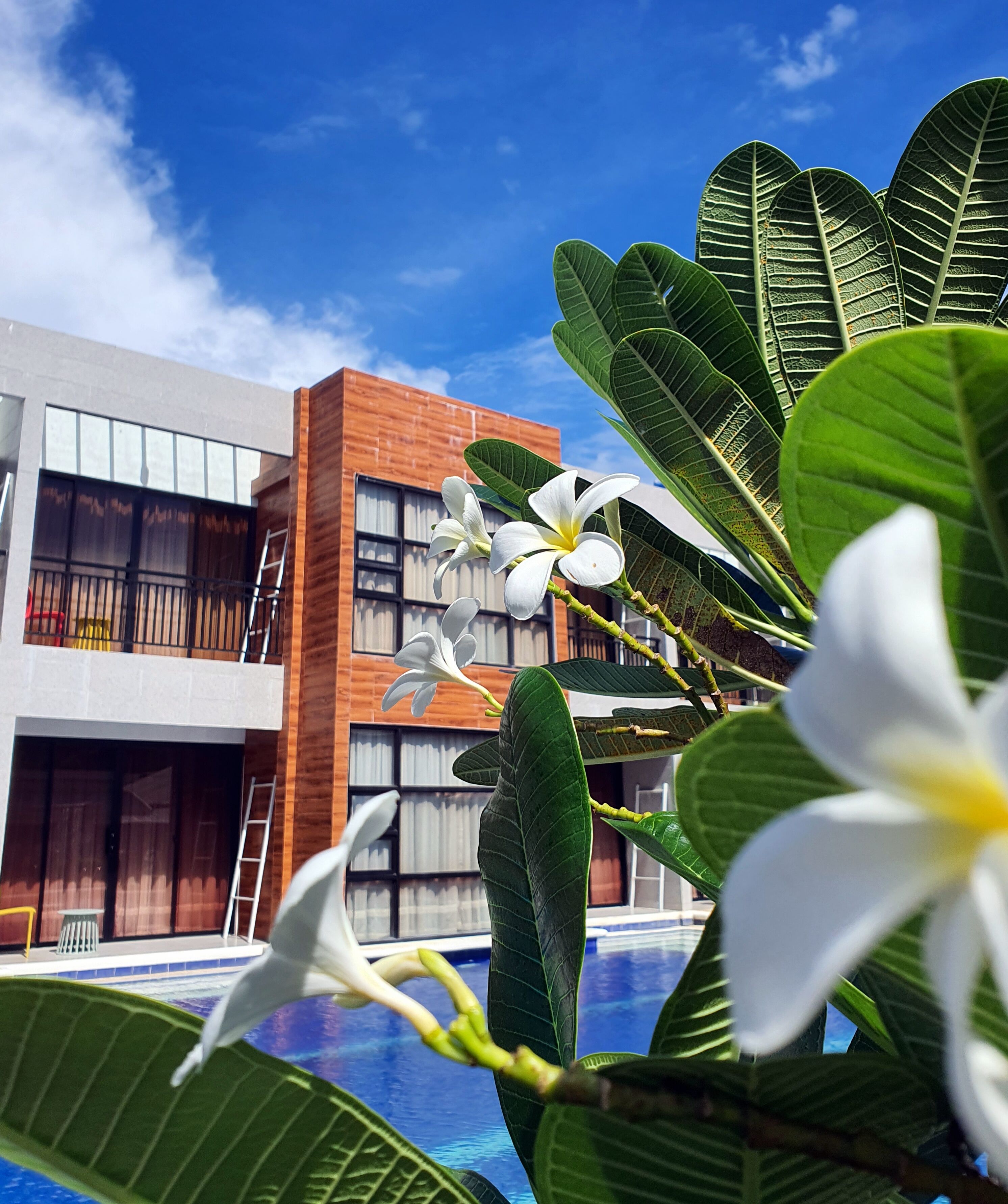A modern building with large windows and a swimming pool.
