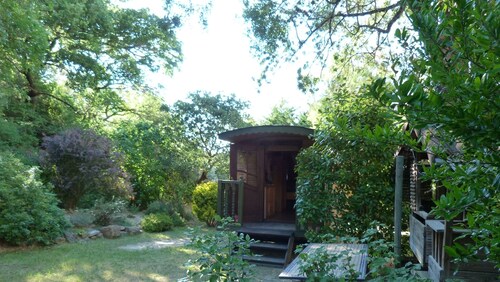 THE ROULOTTE A ZANOU >>