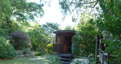 THE ROULOTTE A ZANOU >>