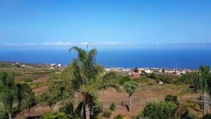 A coastal landscape with palm trees and a view of the sea. - Finca El Pastel (Tacoronte)